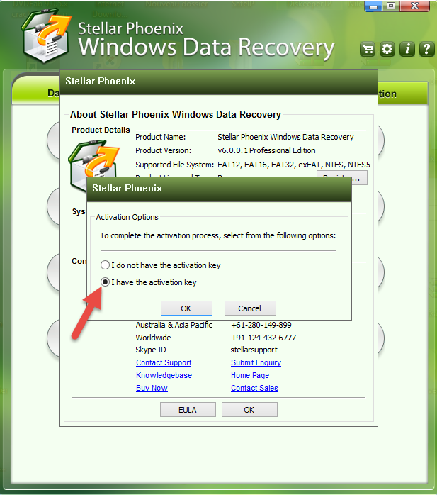 stellar data recovery professional activation key windows